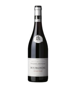 Pasquier Desvignes Pinot Noir